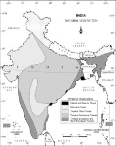 Natural Vegetation Class 11 Geography Chapter 5 Notes NCERT Solution ...